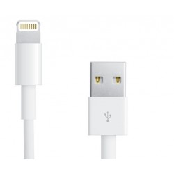 Câble Lightning vers USB pour iPhone 5/6
